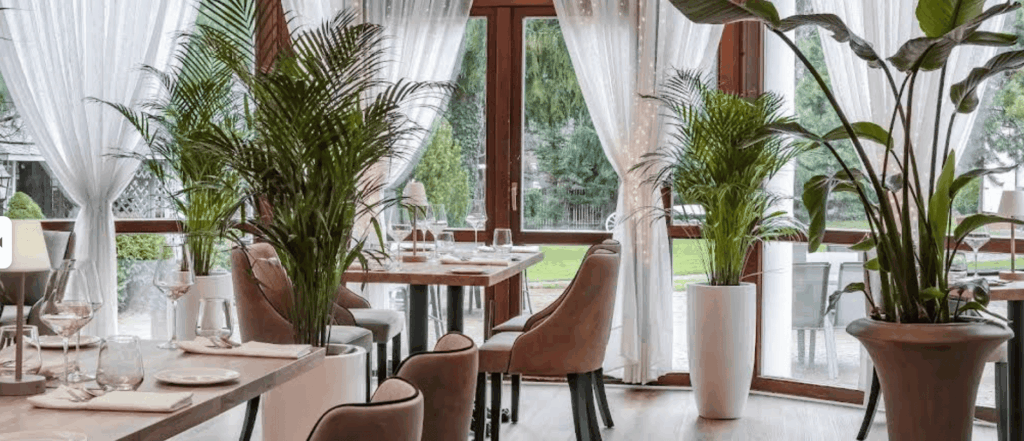 Bright modern dining room with white curtains, large windows, and potted palms creating a serene natural atmosphere.